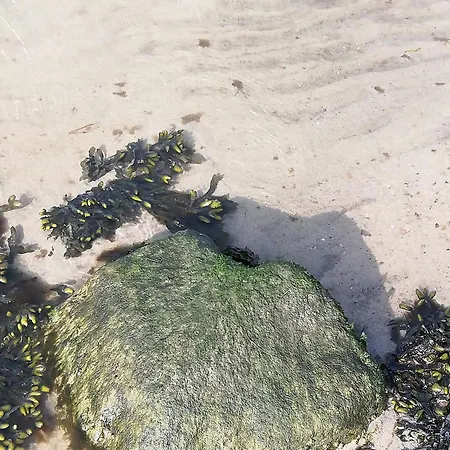 Blaue Sonne Devin Feriehus *