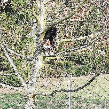 Blaue Sonne Devin * Stralsund