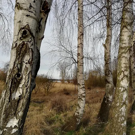 Blaue Sonne Devin Stralsund